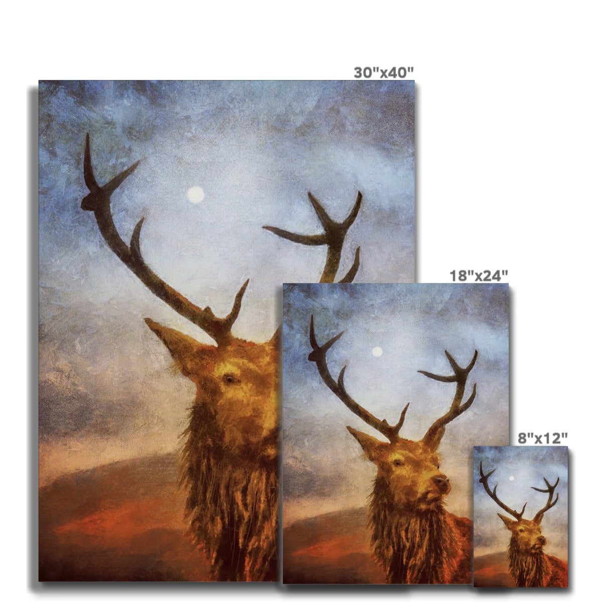 Scottish Paintings - ' The Moonlit Stag ' Canvas