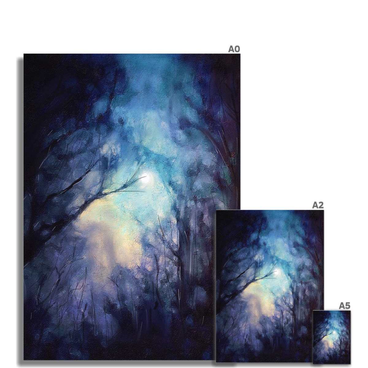 A Moonlit Highland Wood Fine Art Print