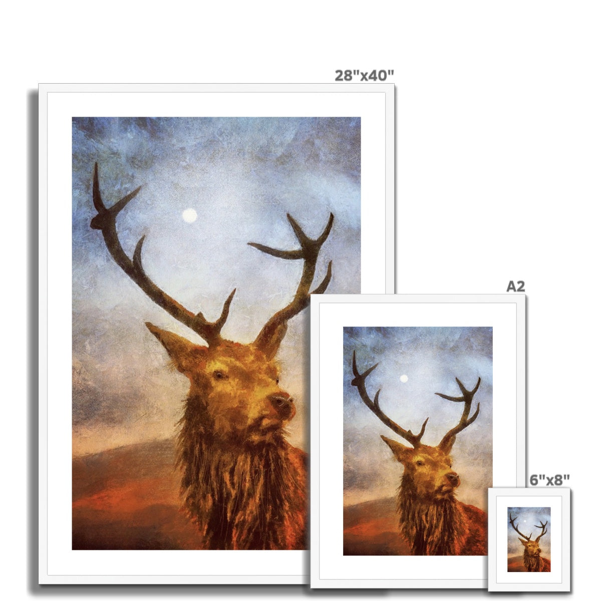 Scottish Paintings - ' The Moonlit Stag ' Framed & Mounted Print